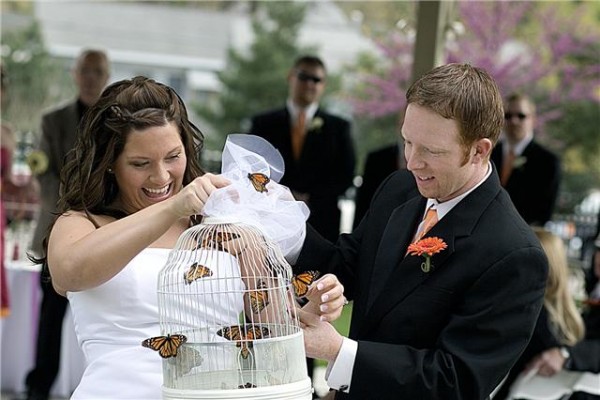 Releasing Butterflies In A Wedding Ceremony