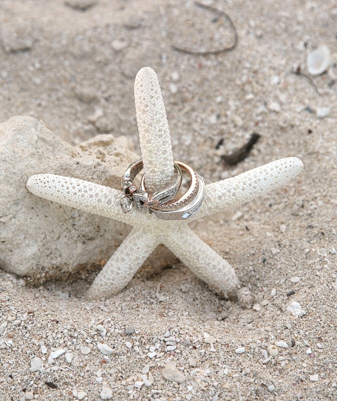 Shell and Starfish Décor for Your Jersey Shore Beach Wedding