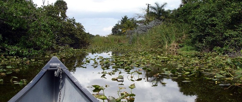 Hugh Taylor Birch State Park Main Image