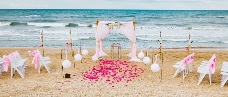 Wedding Bells and Seashells Main Image